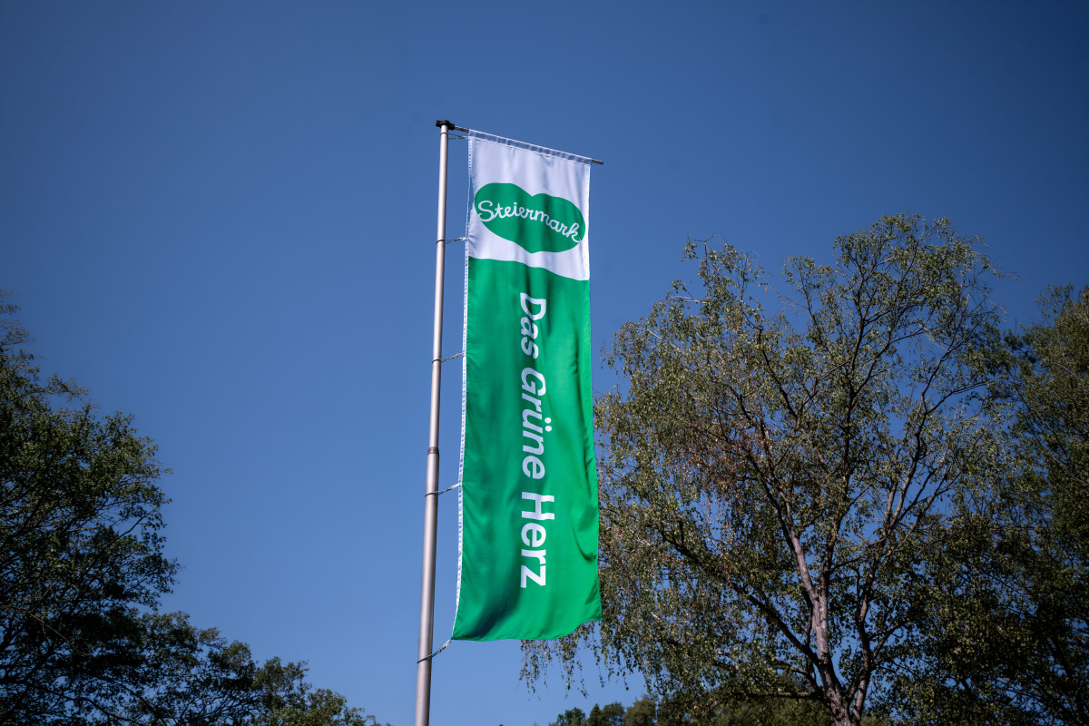 Steiermark-Fahne 