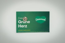 Ansteck-Pin “Steiermark-Fan” 1